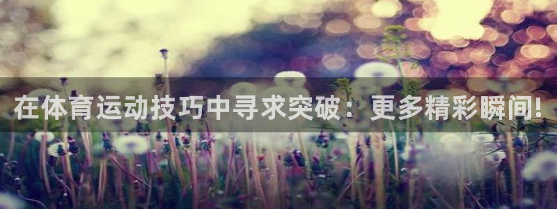 3377体育官网下载平台是正规平台吗：在体育运动技巧