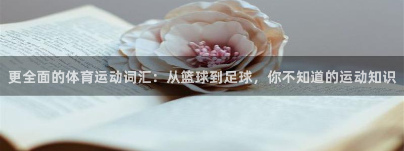 3377体育官方正版app五金厂：更全面的体育运动词