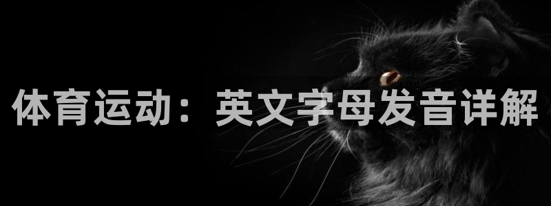 3377体育官方正版app娱乐首页网站大全：体育运动