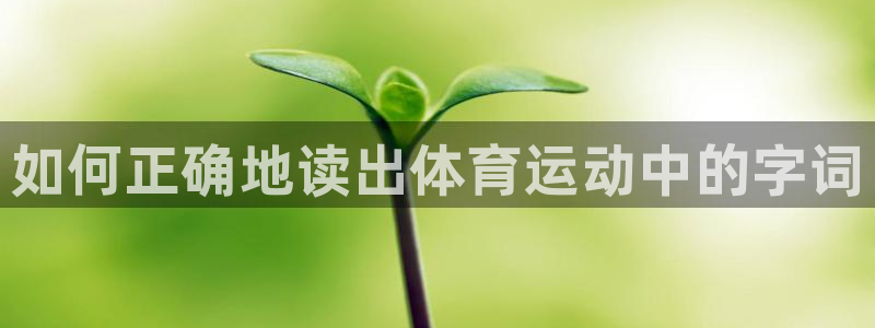 3377体育官网下载招商电话是多少啊：如何正确地读出