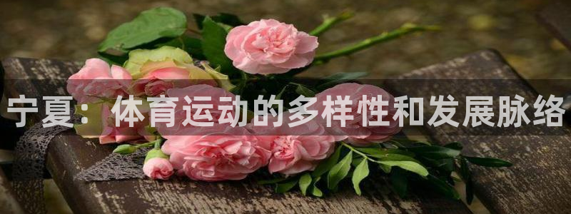 3377体育官方正版app集团官网网址：宁夏：体育运
