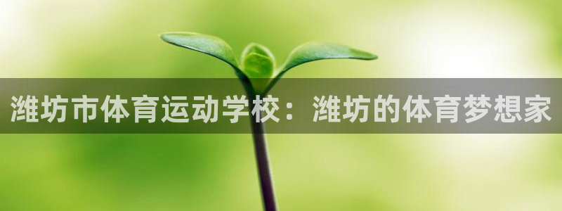 3377体育官方正版app集团
