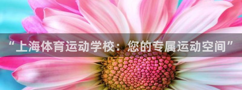 3377体育官方正版app官方：“上海体育运动学校：您的专属