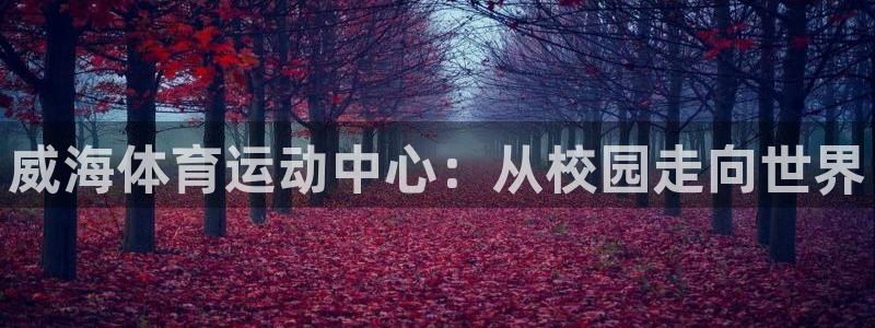 3377体育官方正版app娱乐40996：威海体育运动中心：