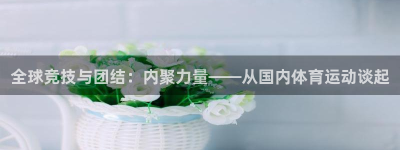 3377体育官方正版app神州：全球竞技与团结：内聚力量——