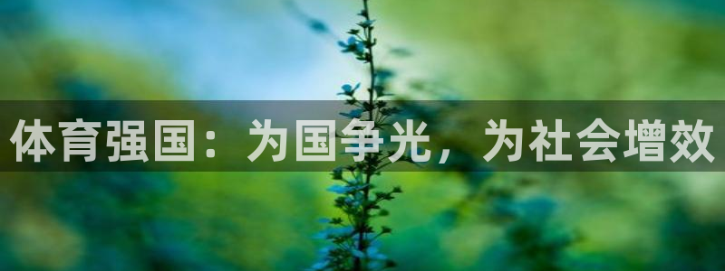 3377体育官网下载招商电话号码查询：体育强国：为国争光，为