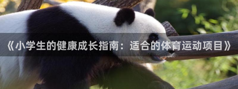 3377体育官网下载