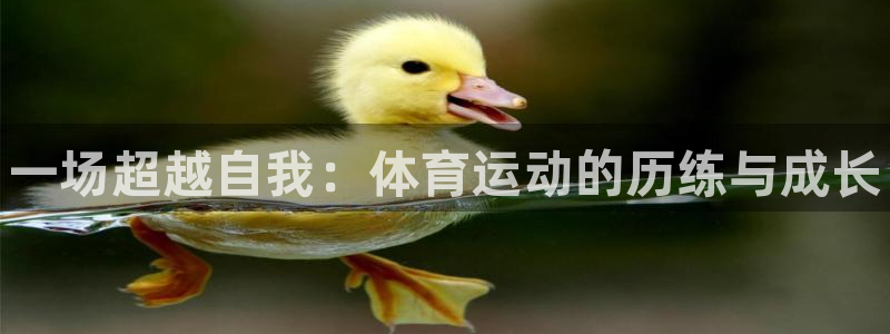 3377体育官方正版app神州：一场超越自我：体育运动的历练