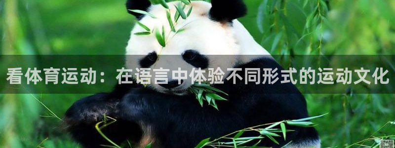 3377体育官网下载平台是正规平台吗安全吗：看体育运动：在语