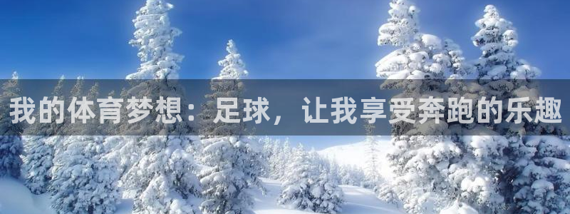 3377体育官网下载平台假的吗是真的吗：我的体育梦想