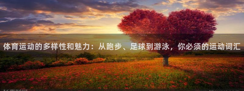 3377体育官方正版app官网：体育运动的多样性和魅力：从跑