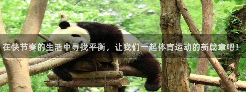 3377体育官网下载招商电话号码是多少：在快节奏的生活中寻找