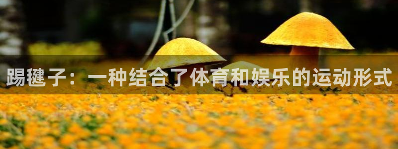 3377体育属于国家打击范围吗：踢毽