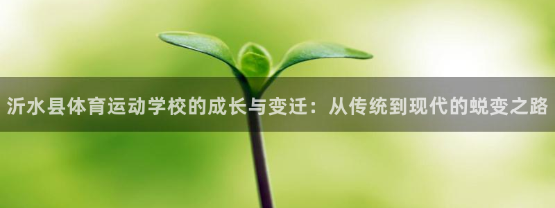 3377体育是诈骗吗：沂水县体育运动学校的成长与变迁：从传统