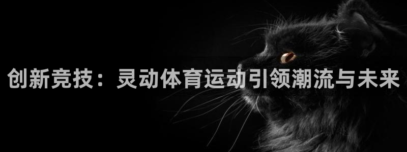 3377体育在哪个国家运营
