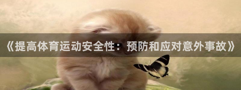 3377体育为什么提不出来