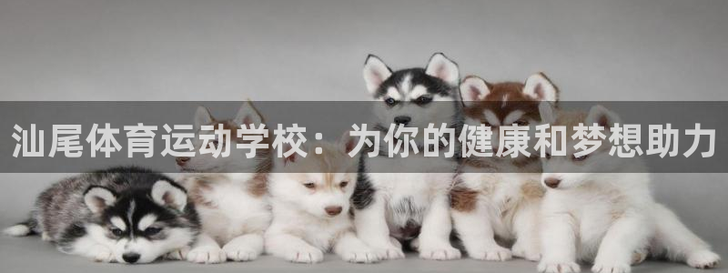 3377体育游戏：汕尾体育运动学校：为你的健康和梦想助力