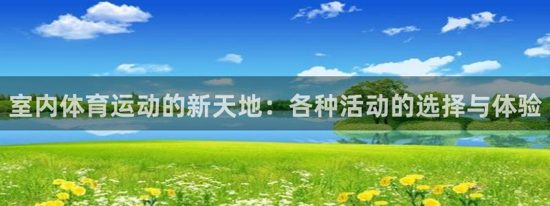  3377体育平台正规吗怎么样：室内体育运动的新天地：各种活动