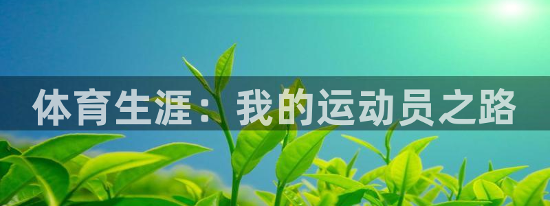  3377体育电子：体育生涯：我的运动员之路