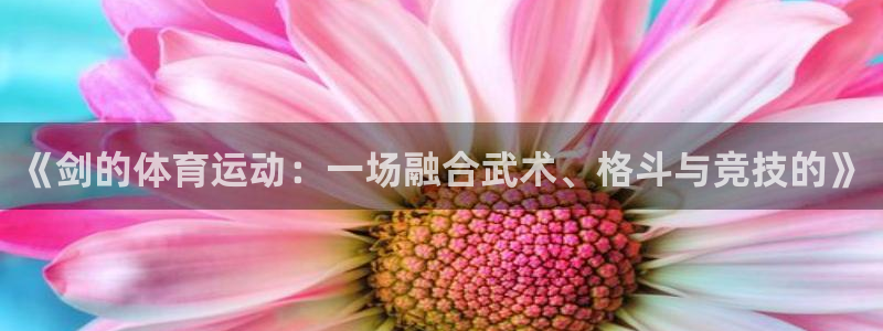 3377体育app官网下载地址：《剑的体育运动：一场融合武术
