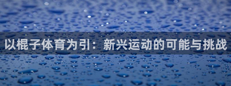  3377体育中国官方网站入口：以棍子体育为引：新兴运动的可能