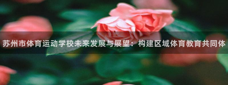  3377体育骗了多少人：苏州市体育运动学校未来发展与展望：构