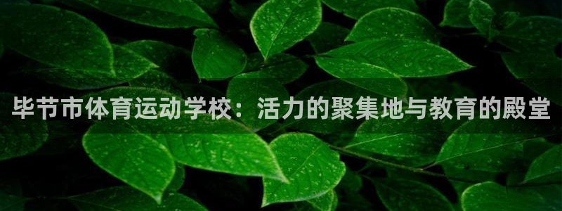  3377体育在哪个国家运营：毕节市体育运动学校：活力的聚集地