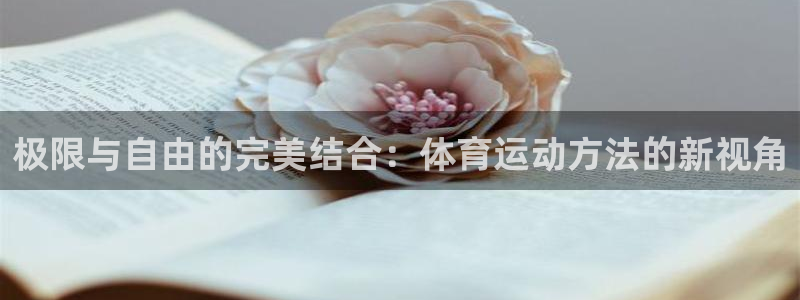 3377体育官网址：极限与自由的完美