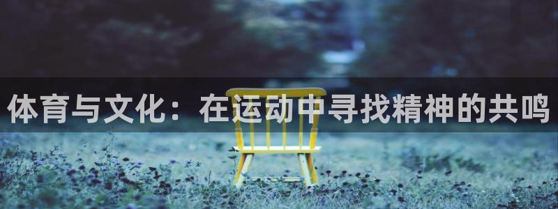 3377体育骗了多少人：体育与文化：